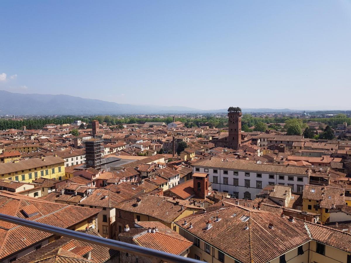 Wanda's Lucca